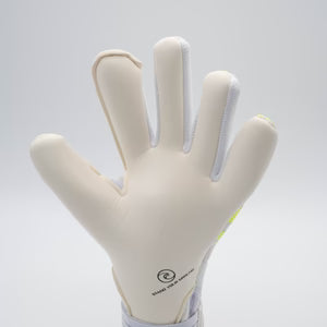 West Coast Shockwave ™ Apex024