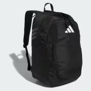 Stadium 4 Backpack